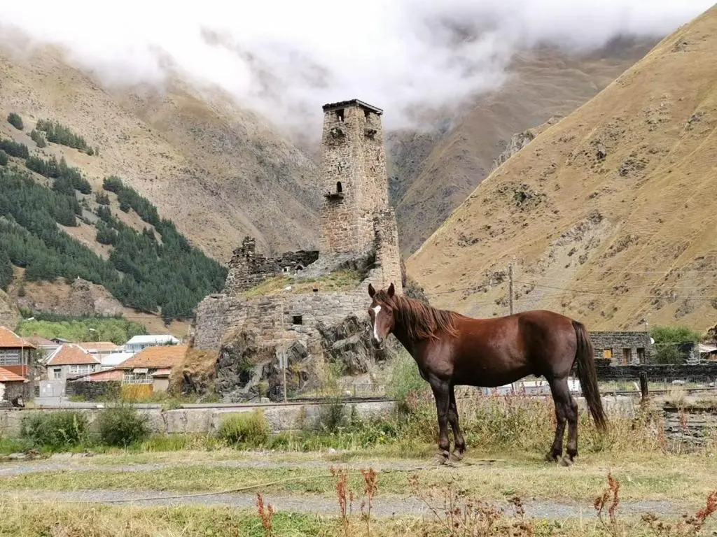 Snoveli Kazbegi