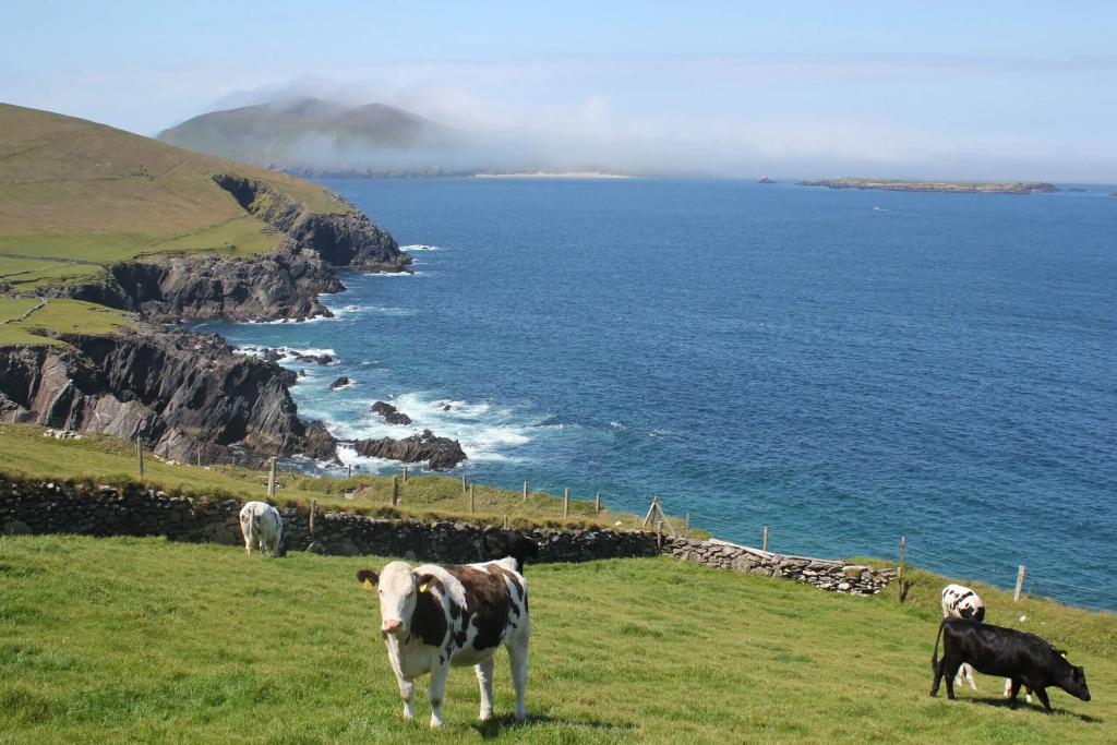 Dingle Courtyard Cottages 2 Bed Sleeps 4