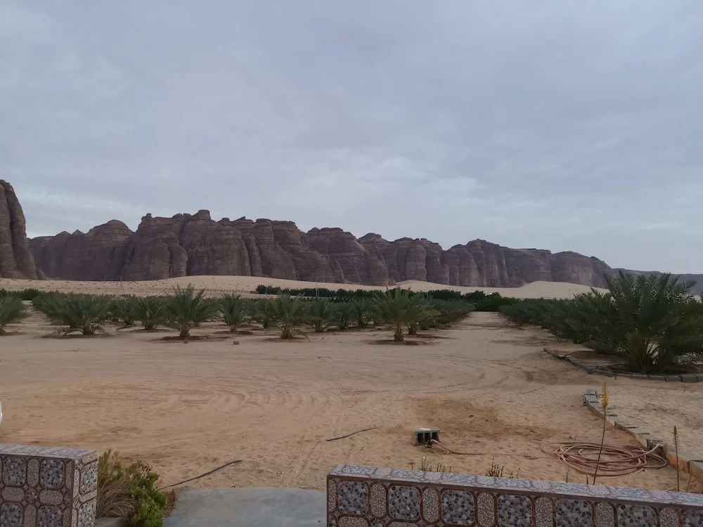 الملاذ الهادي