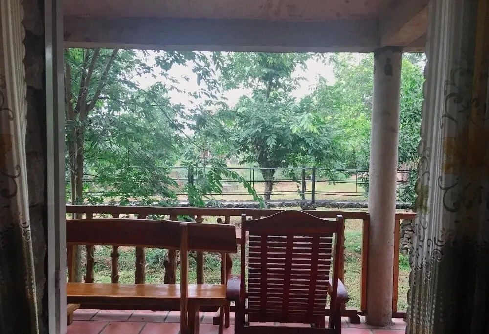 Green Bamboo Lodge Resort
