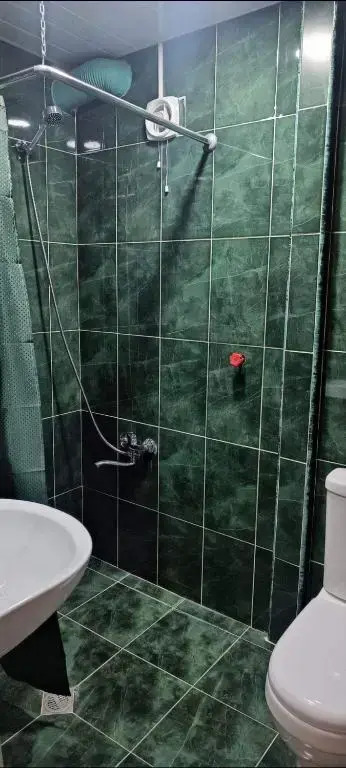 Боржоми Ликани