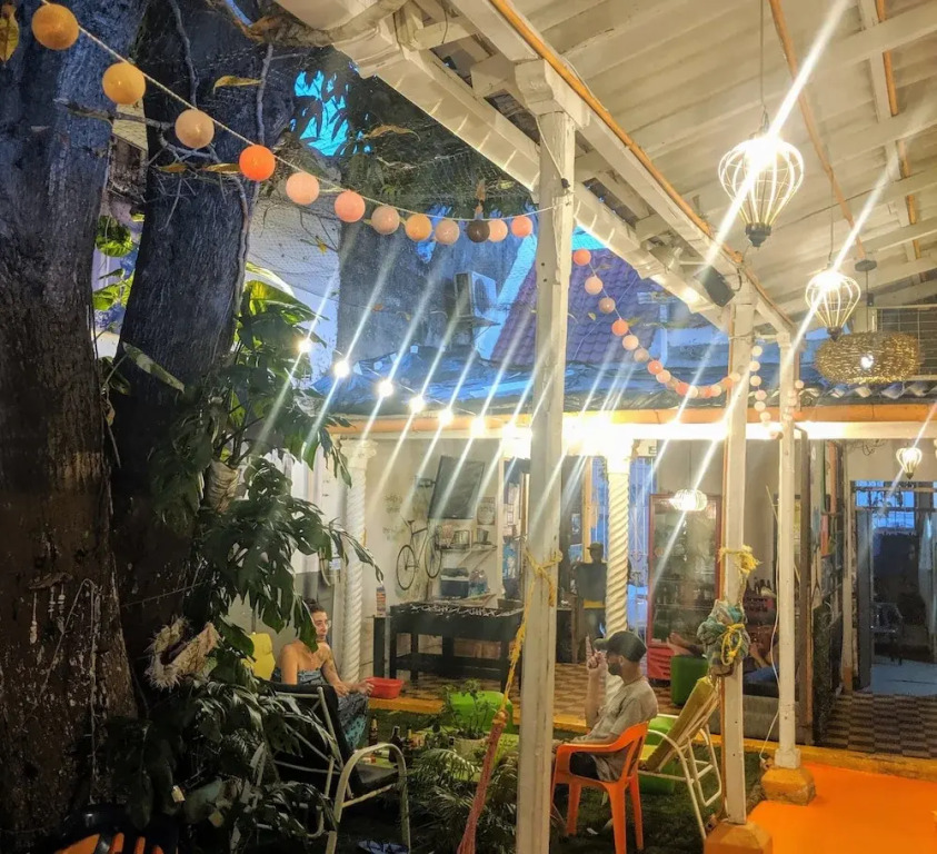 Tree House Hostel