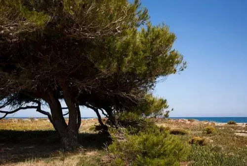 Camping Miramar