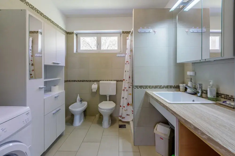 Apartment Nika
