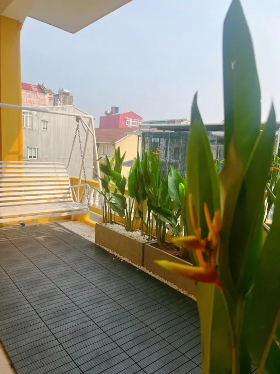 The Dreamers Hostel