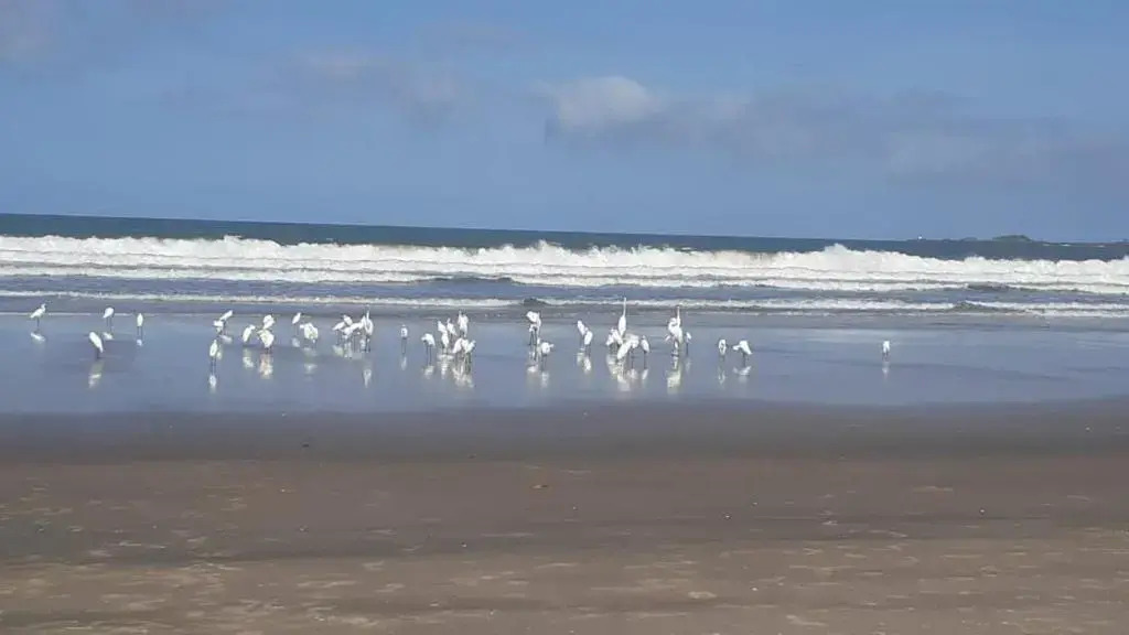 Casa de Praia Ilhéus