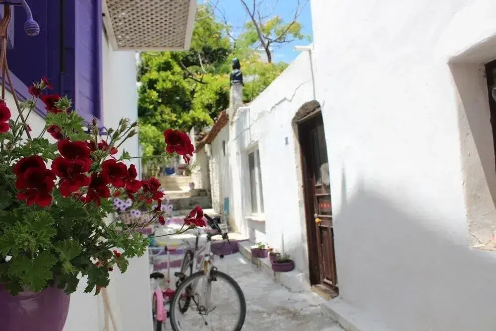 Amaranda Ada Evi - Adults Only