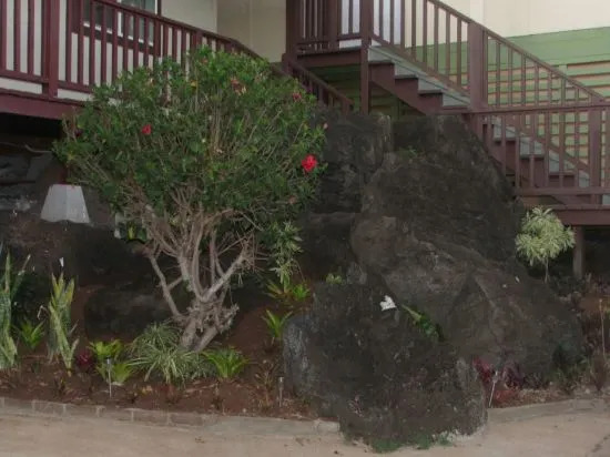 Vacation Rental Home in Kahala Hawaii
