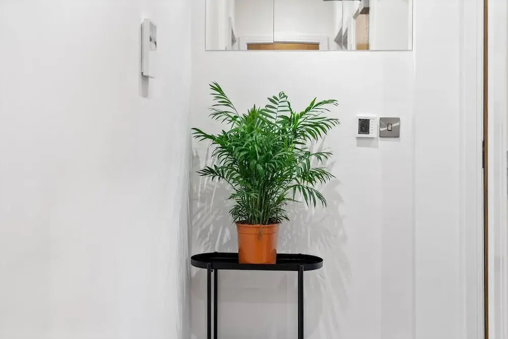 Wonderful Stay 2 Bedrooms Flat