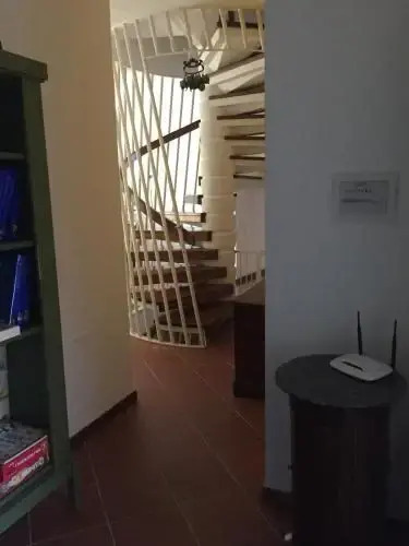 BB Casa Tomato