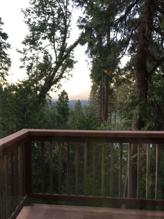 Treetop Cabin