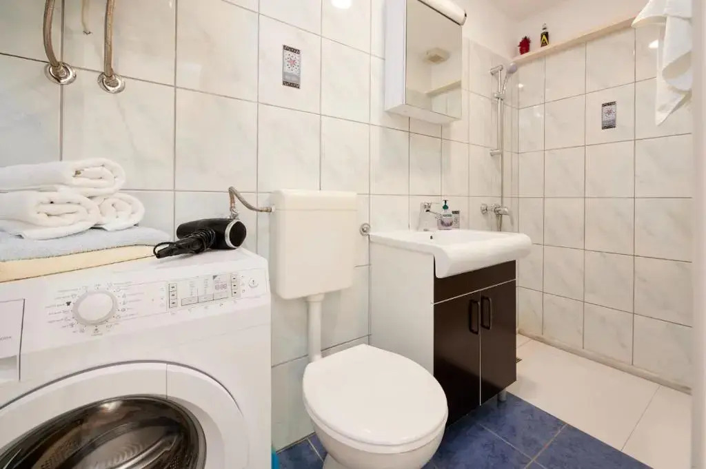 Apartment Viktoria
