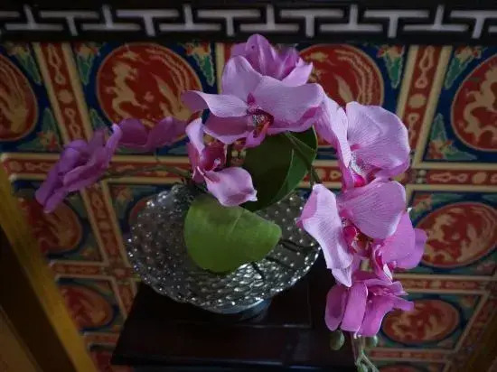 Shuiyun Renjia River View Inn