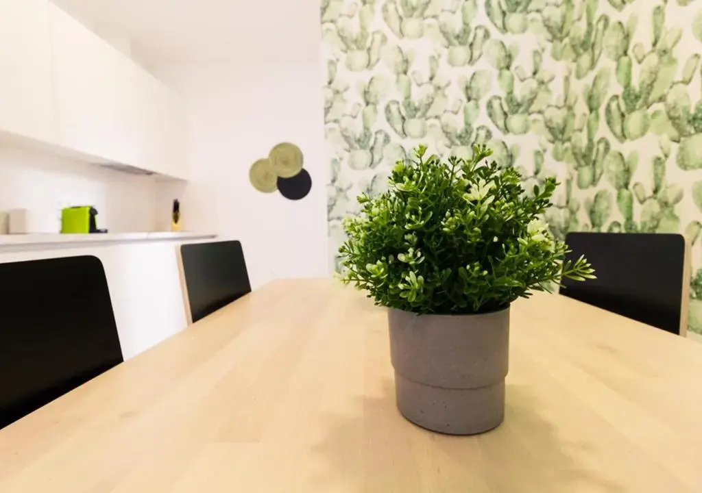 Moderno apartamento urbano en barrio histórico 1ºI