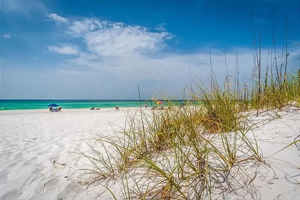 Ariel Dunes Ii-808 - 1149868