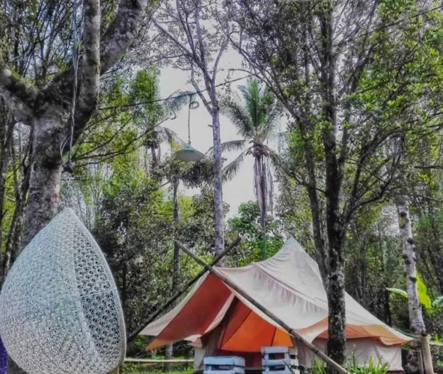 Damarwidi Glamping
