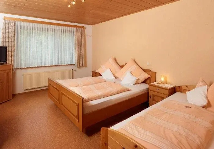 Hotel Garni Assion