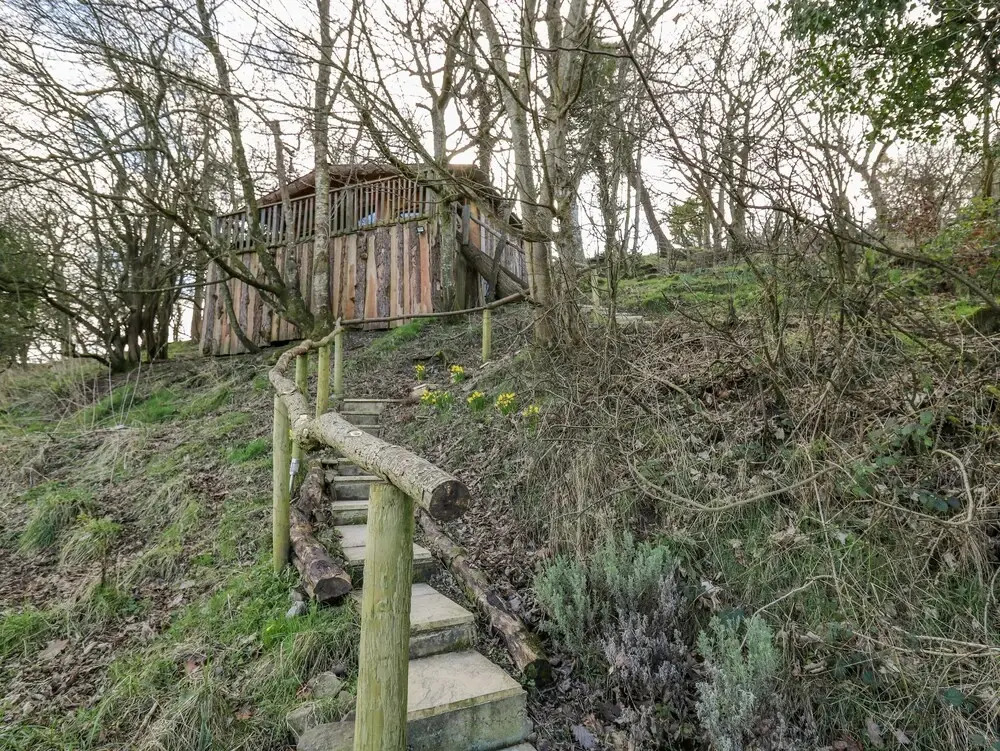 Tree House