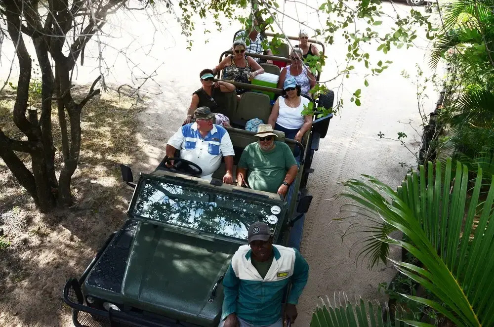 Pezulu Tree House Lodge