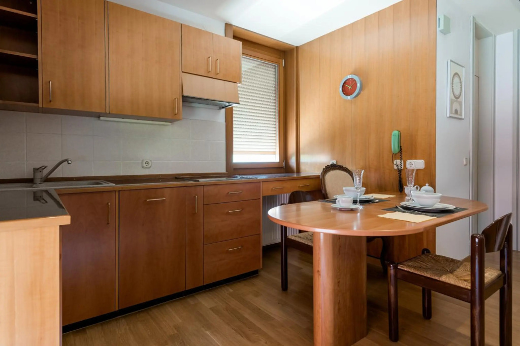 Rožna Dolina Apartment