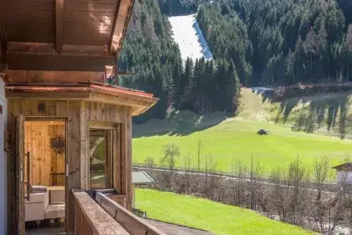Fernblick