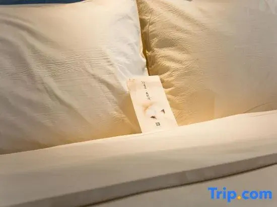 Chengdu Manju  Hotel ( West Railway Station Qingyang Wanda Branch)