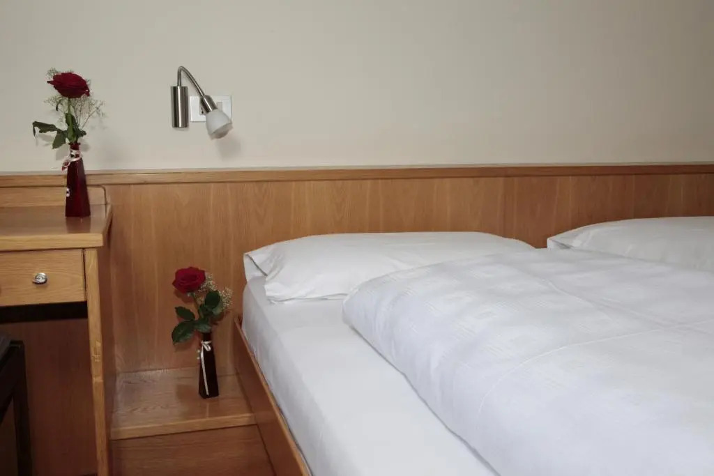 Hotel Alpino Plan