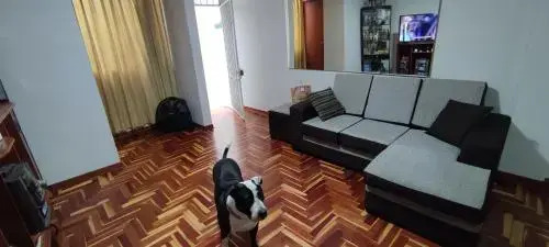 Apartamento Marco Airport