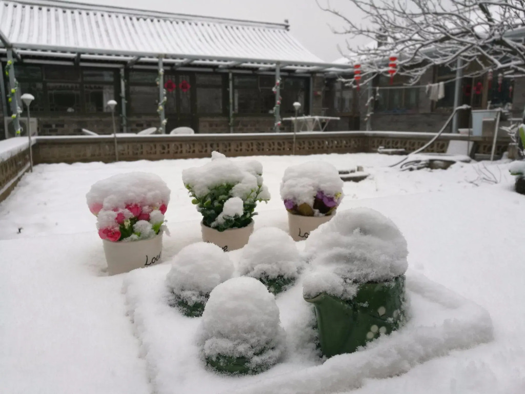 Beijing Badaling Great Wall Caos Courtyard guesthousel 1Private english tour guide 2Pick up&Drof off &landmark visiting serivice3Very near to Badaling Great Wall4Offer free beijing travel guide5Traditonal Chinese courtyard