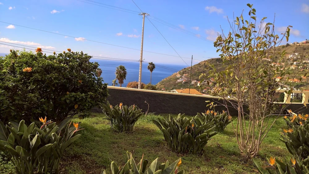 The Sun Palms House by ETC