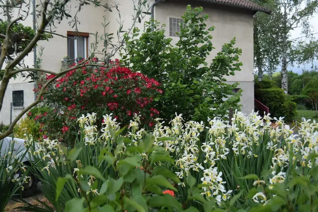 Le Nid de lEcureuil