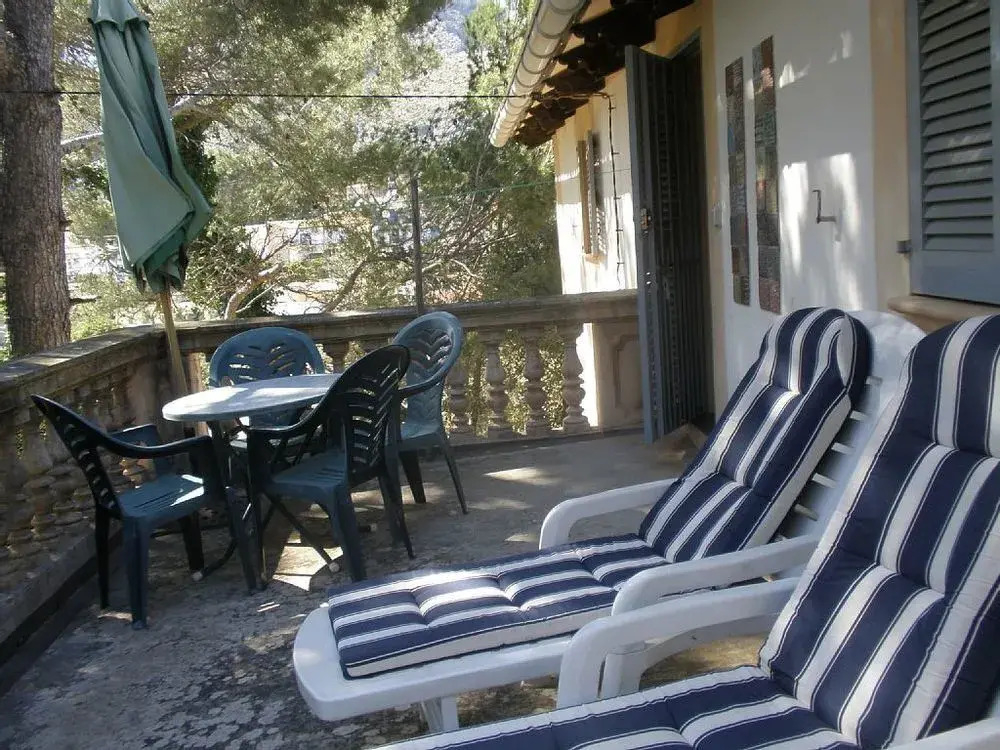 Apartment in Pollensa 100519