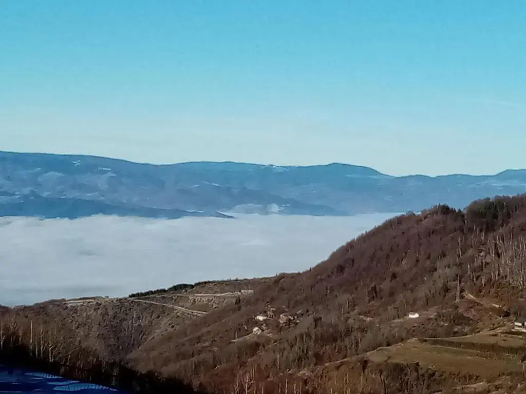 Pčelica L15 Milmari