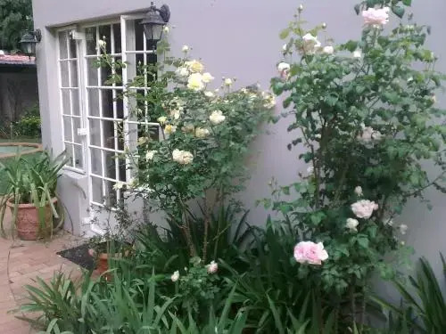 Rosebank Lodge Guesthouse by Claires