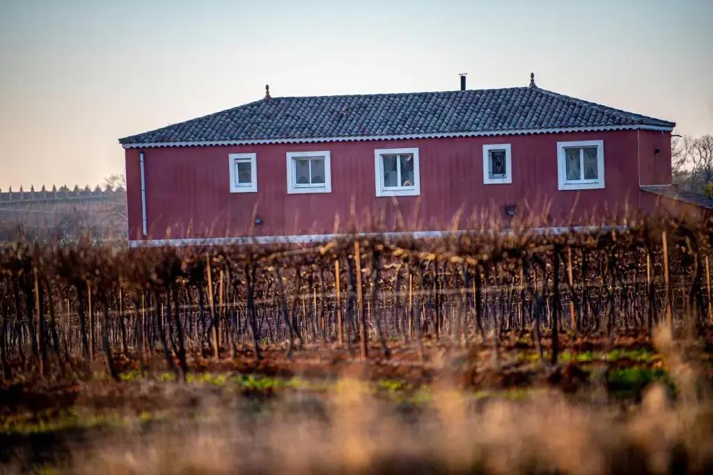 Villa Piscine au cœur des vignes