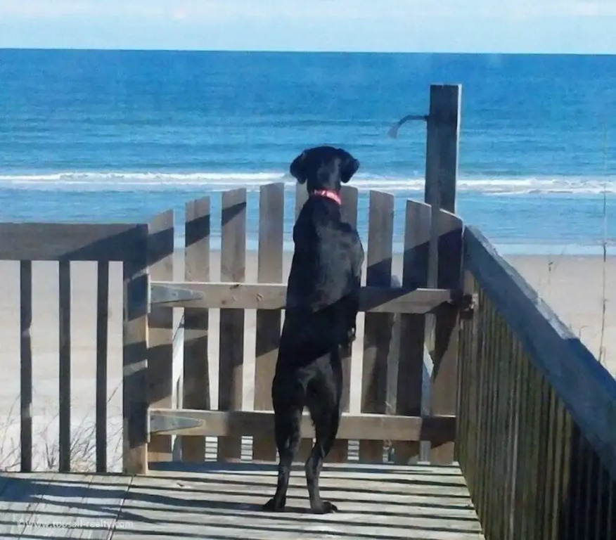All About The View by Topsail Realty