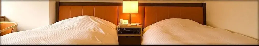 Hotel Ginza Raffinato