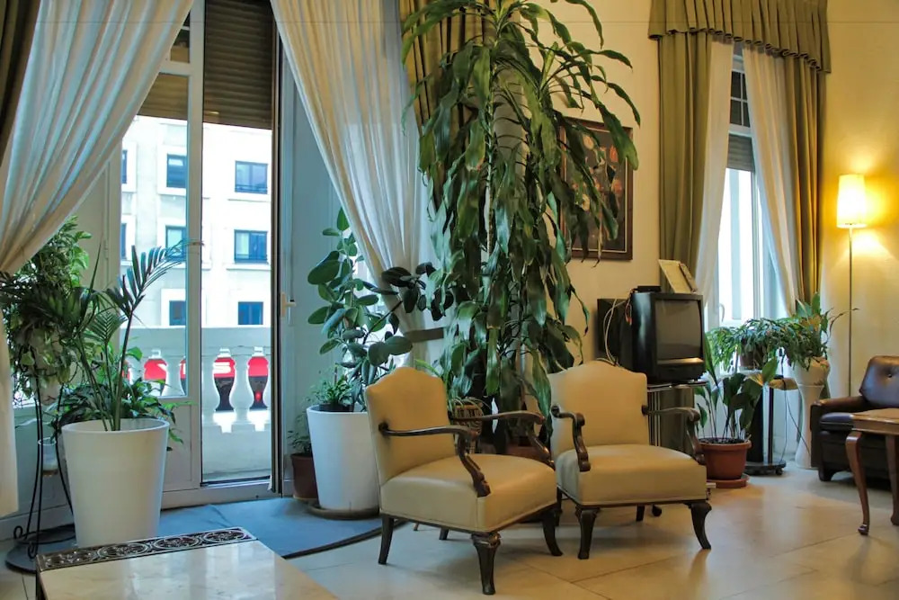 Hostal Excelsior