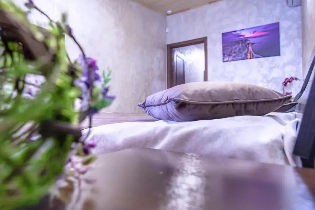 Hotel Fortuna
