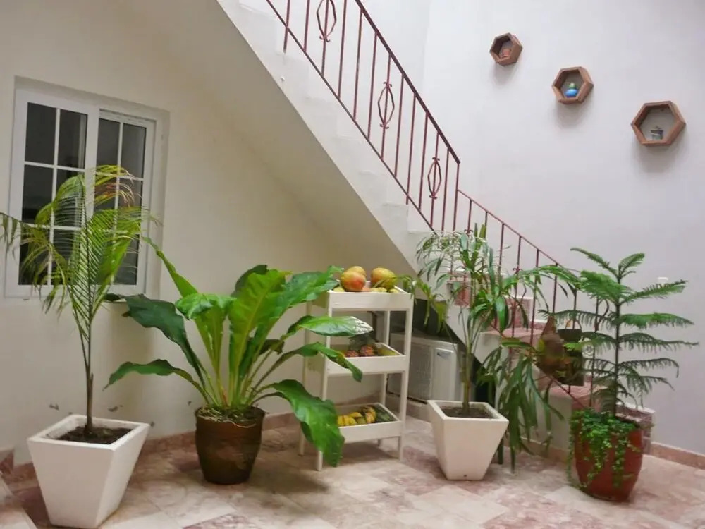 The Waiters House TRINIDAD