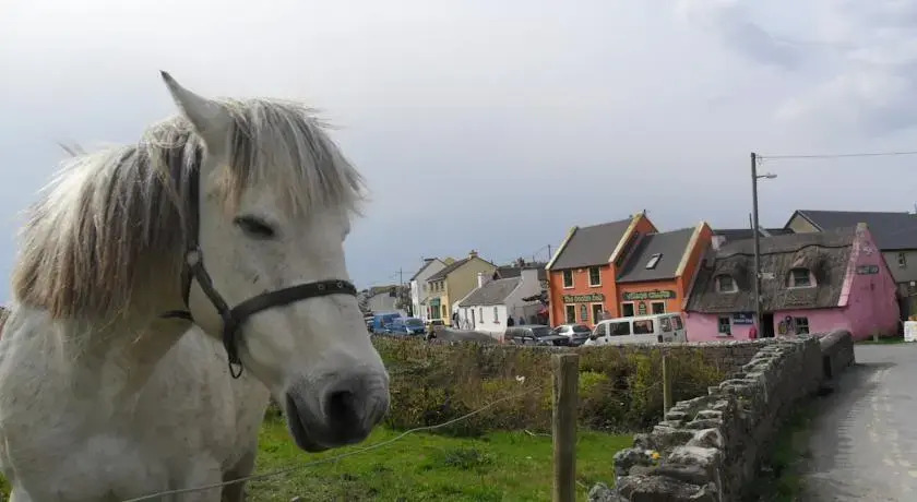 St Anthonys B&B