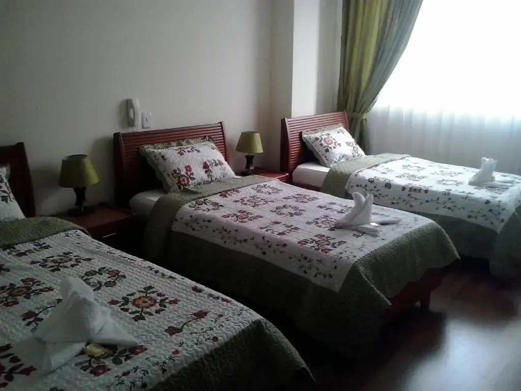 Hotel Castillo Real