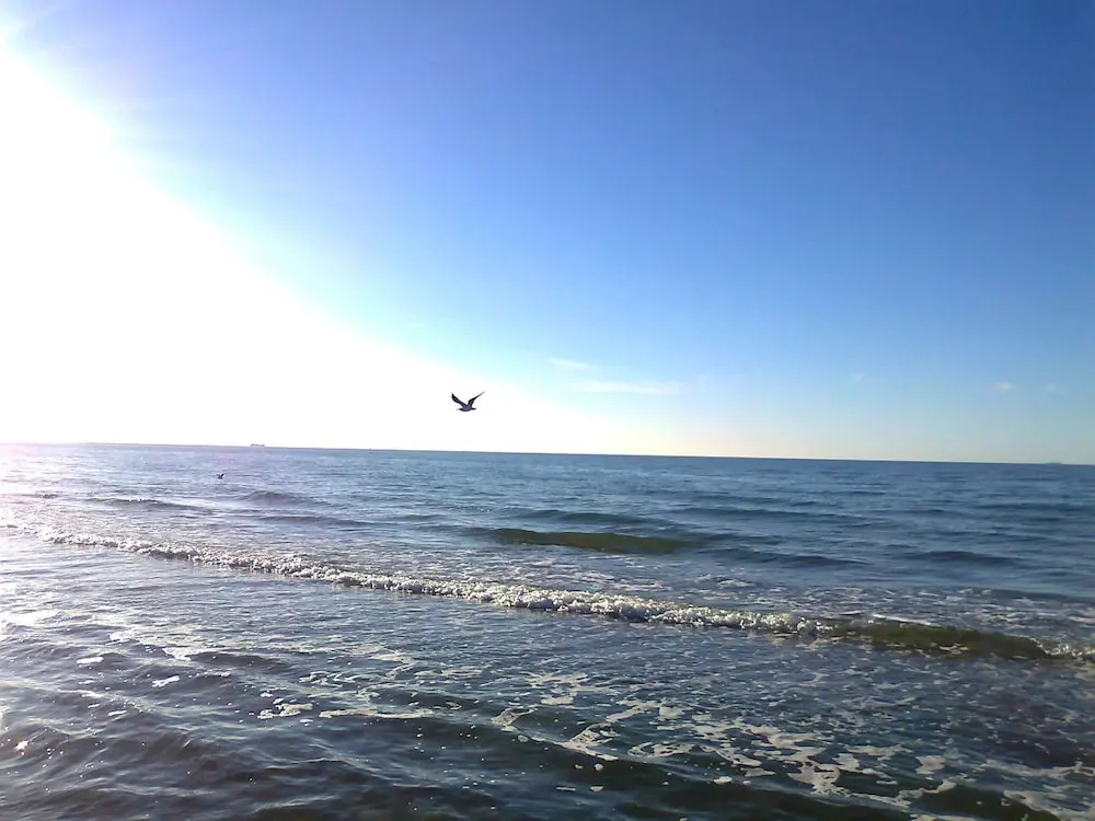 Schones Appartement am Meer in Rerik