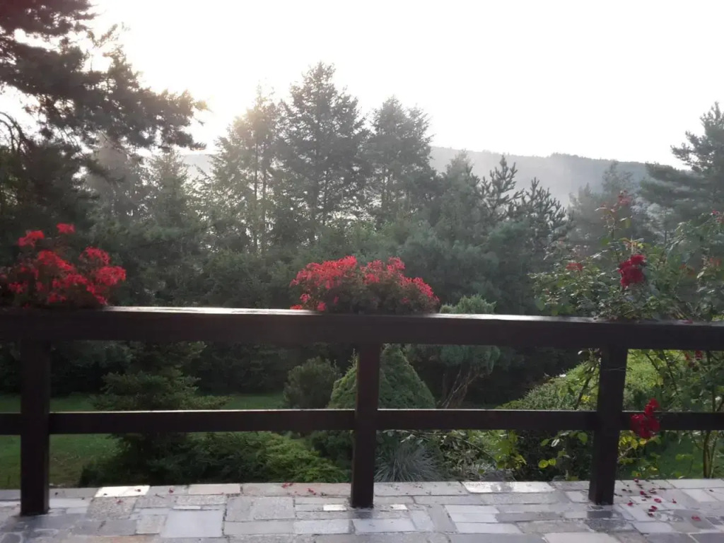 Villa Blanka