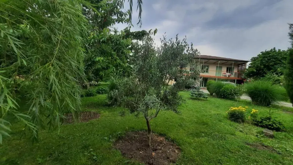 green house