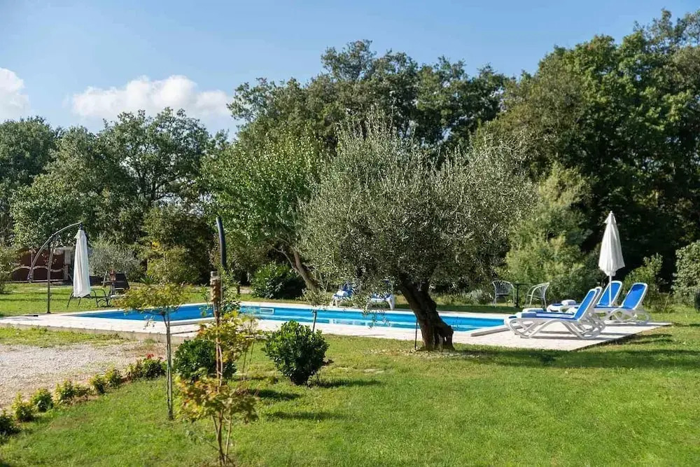 Apartments Petra 1