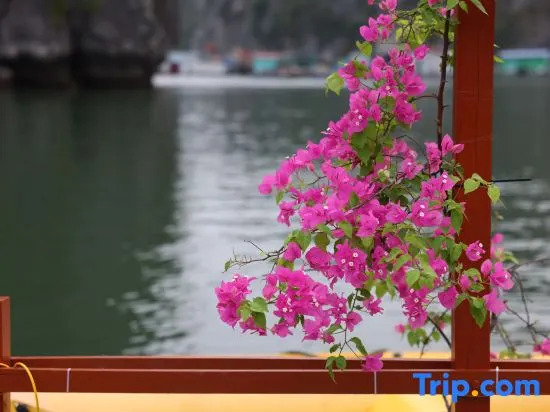 Cat Ba Fishing Village Bay House