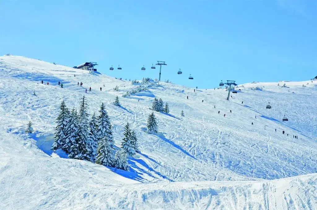 Vila Eskim Jahorina, apartman DB 301