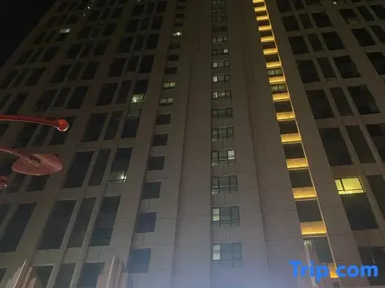 This Shi Hotel (Zhoukou Municipal Government Arts and Science College)