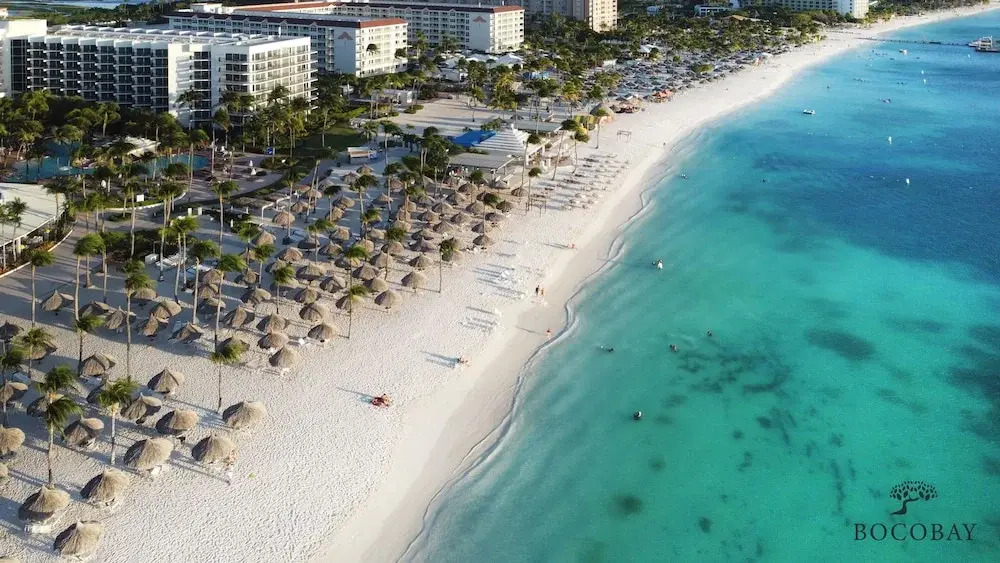 Aracari Residences by Bocobay - Luxury Condos 5 min Walk to Ritz and Palm Beach
